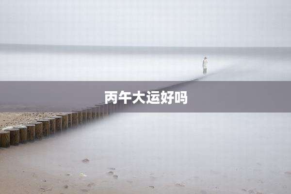 丙午大运好吗