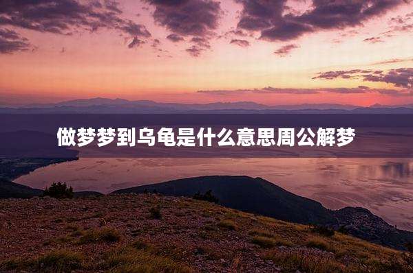 做梦梦到乌龟是什么意思周公解梦