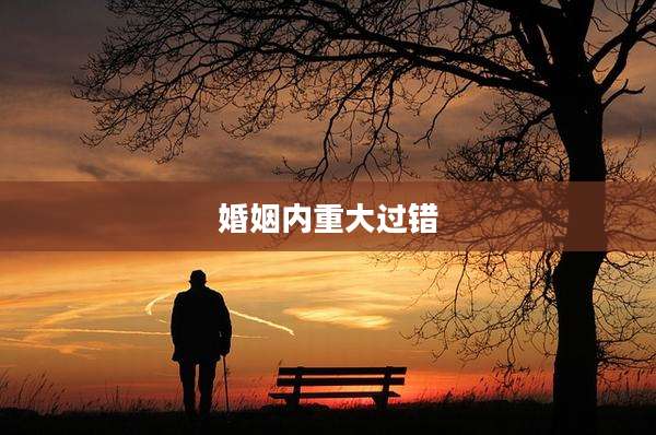 婚姻内重大过错