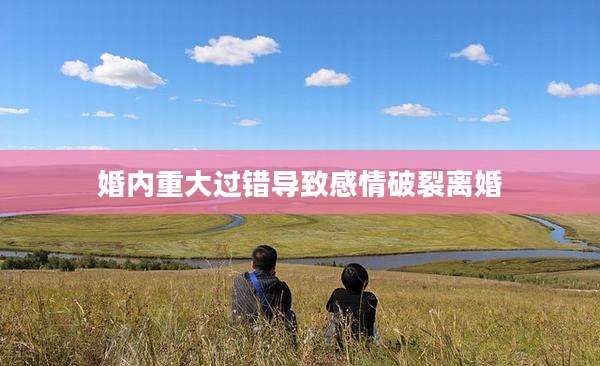 婚内重大过错导致感情破裂离婚