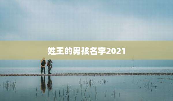 姓王的男孩名字2021