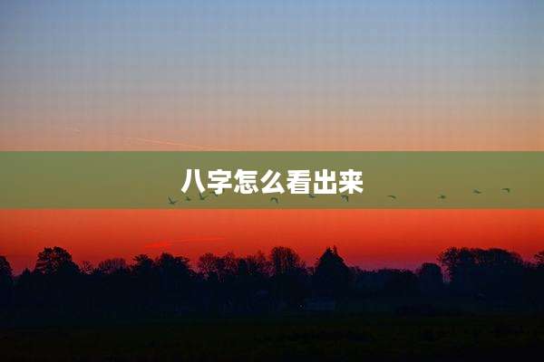 八字怎么看出来