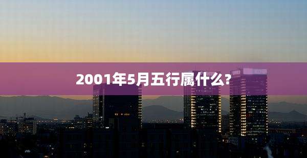2001年5月五行属什么?