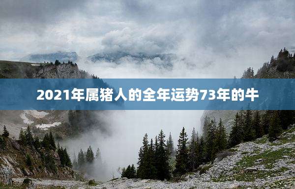 2021年属猪人的全年运势73年的牛