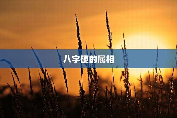 八字硬的属相