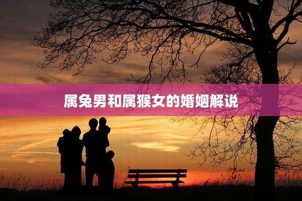 属兔男和属猴女的婚姻解说