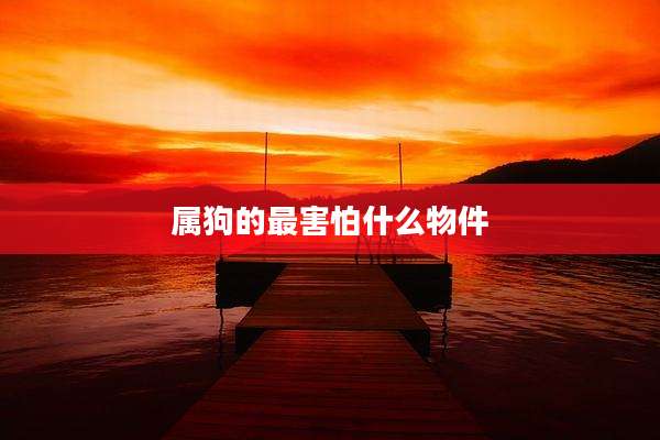 属狗的最害怕什么物件