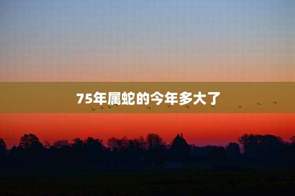 75年属蛇的今年多大了