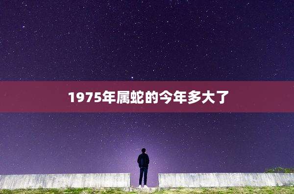 1975年属蛇的今年多大了