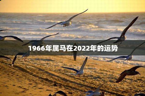 1966年属马在2022年的运势