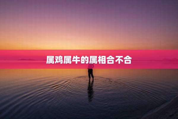 属鸡属牛的属相合不合