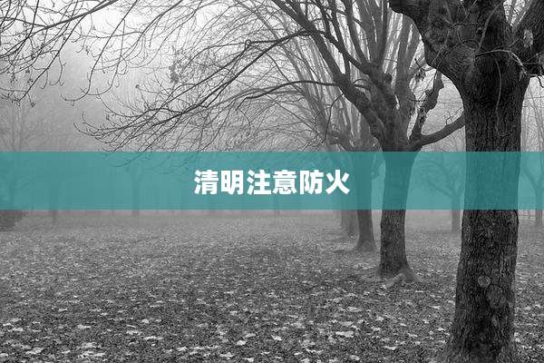 清明注意防火