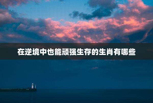 在逆境中也能顽强生存的生肖有哪些
