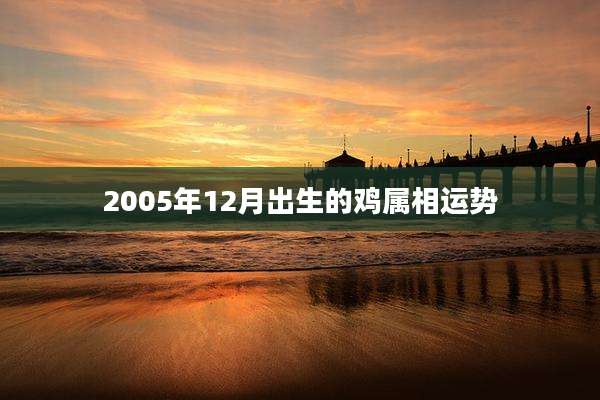 2005年12月出生的鸡属相运势