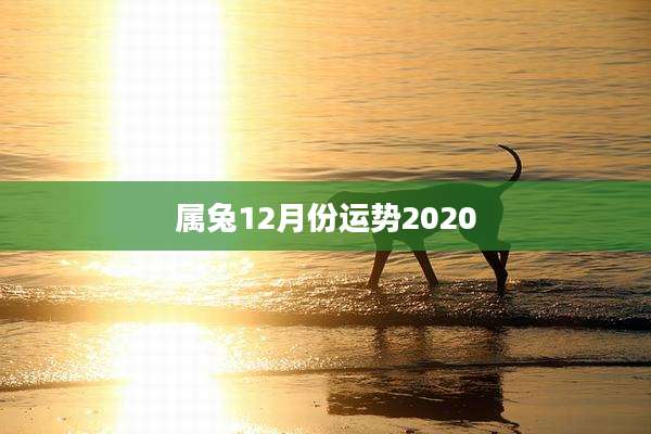 属兔12月份运势2020