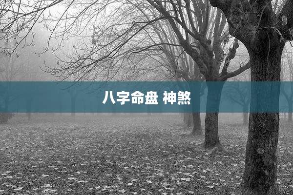 八字命盘 神煞
