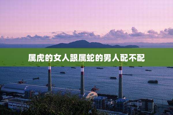 属虎的女人跟属蛇的男人配不配