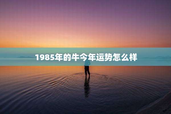 1985年的牛今年运势怎么样