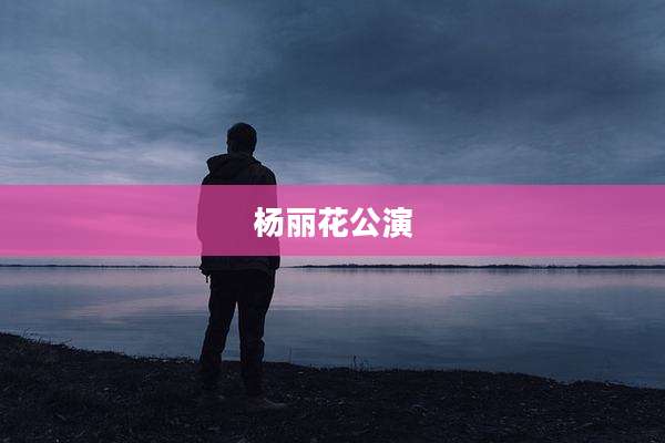 杨丽花公演