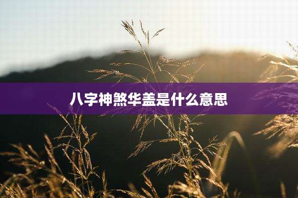 八字神煞华盖是什么意思