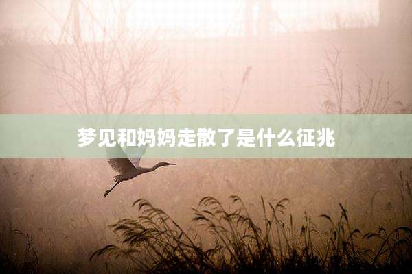 梦见和妈妈走散了是什么征兆