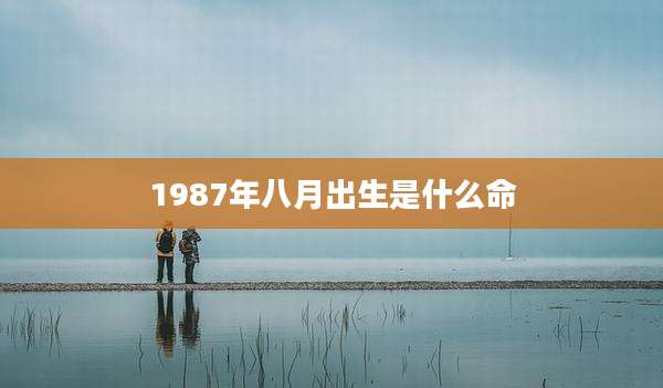1987年八月出生是什么命
