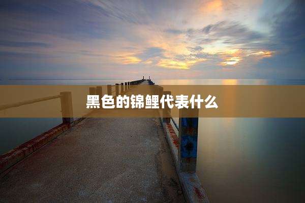 黑色的锦鲤代表什么