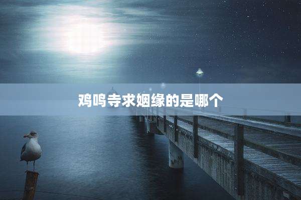 鸡鸣寺求姻缘的是哪个
