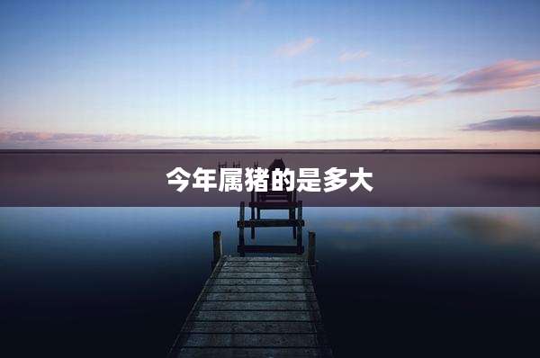 今年属猪的是多大