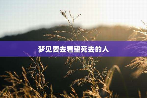 梦见要去看望死去的人