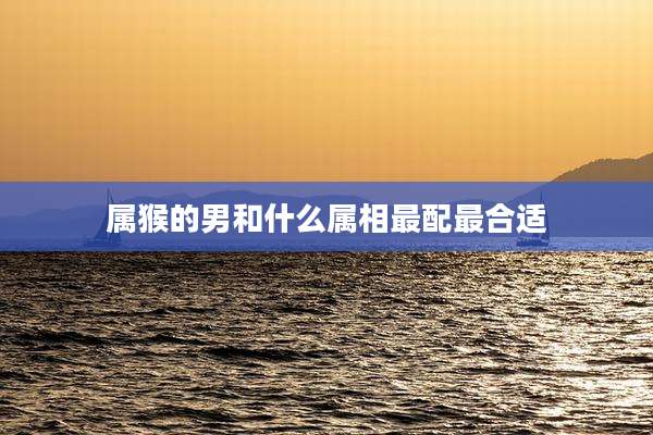 属猴的男和什么属相最配最合适