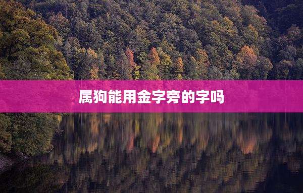 属狗能用金字旁的字吗