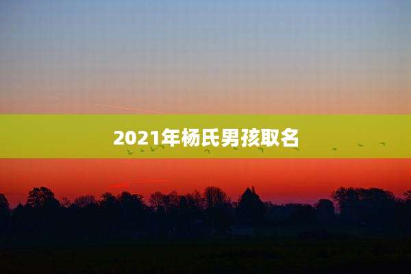 2021年杨氏男孩取名