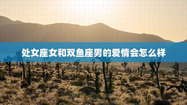 处女座女和双鱼座男的爱情会怎么样