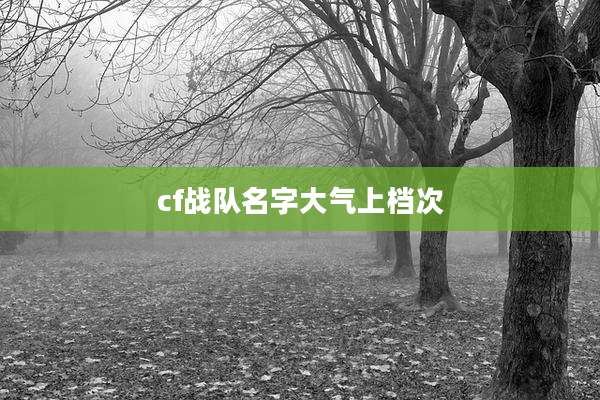cf战队名字大气上档次