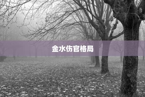 金水伤官格局