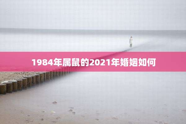 1984年属鼠的2021年婚姻如何