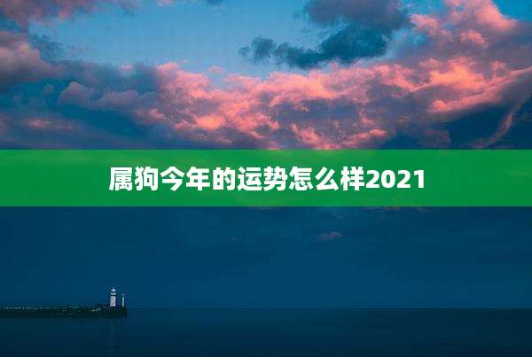属狗今年的运势怎么样2021