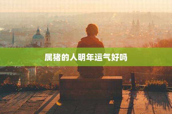 属猪的人明年运气好吗