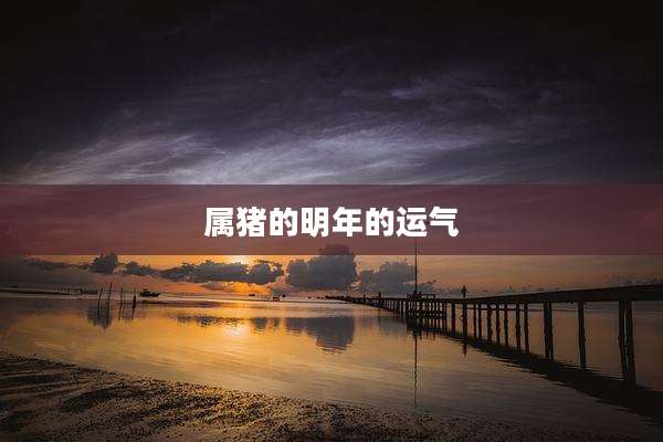 属猪的明年的运气