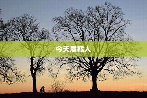 今天属猴人