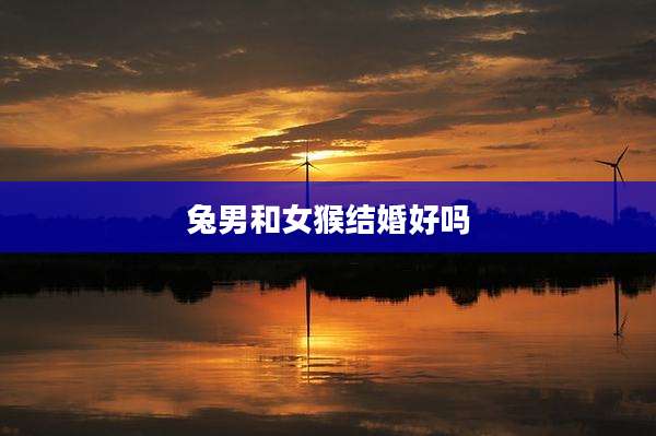 兔男和女猴结婚好吗