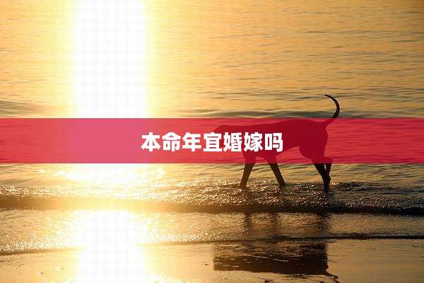 本命年宜婚嫁吗