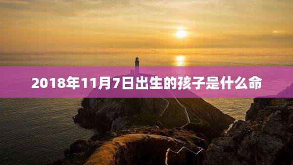 2018年11月7日出生的孩子是什么命