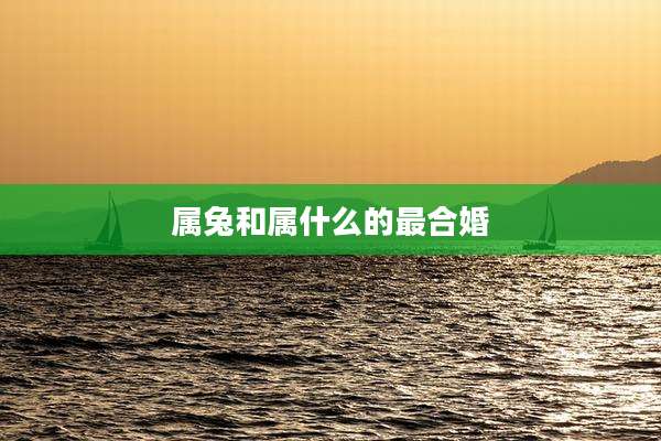 属兔和属什么的最合婚
