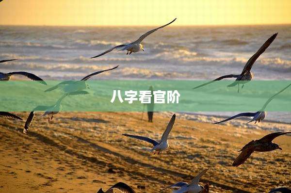 八字看官阶