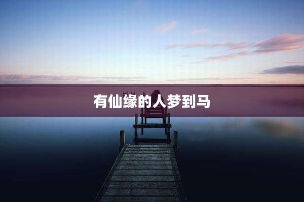 有仙缘的人梦到马