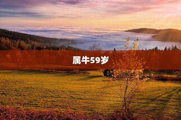 属牛59岁
