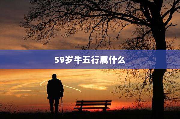 59岁牛五行属什么