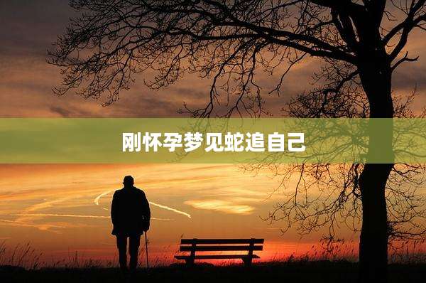 刚怀孕梦见蛇追自己